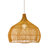 Harry Braegyn 1 - Light Pendant-1667617319