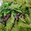 Greenwall 100 cm H Faux Plant