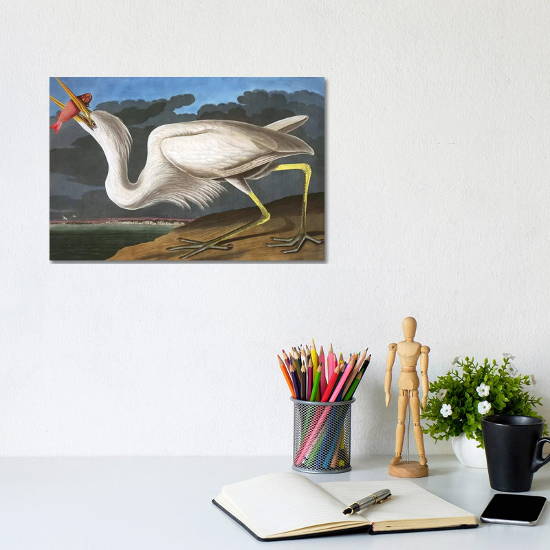 Great White Heron, Ardea Occidentalis, From "The Birds Of America" by John James Audubon - Wrapped Canvas Gallery-Wrapped Canvas Giclée