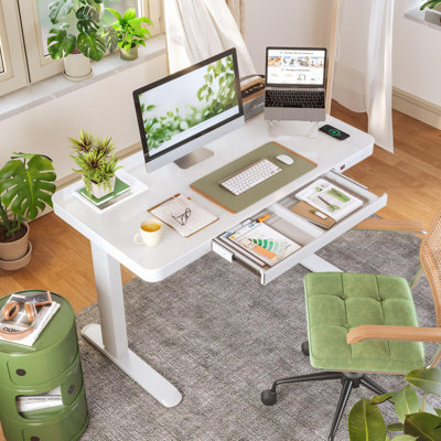 48'' W Adjustable Glass Electric Standing Desk with Drawer, USB Ports