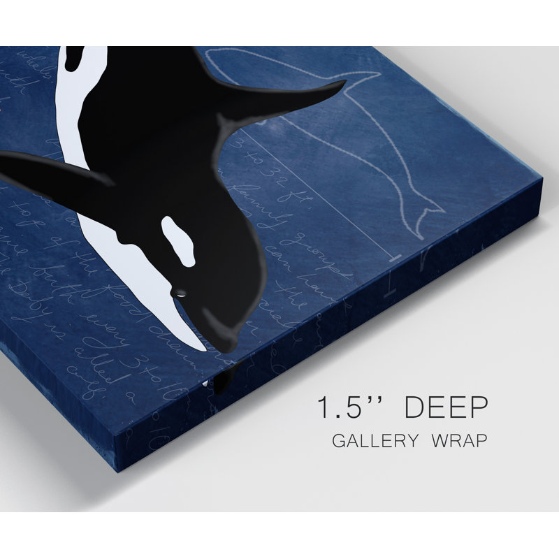 " Orca ", 48" H x 32" W x 1" D