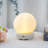 Wrought Studio™ Ceramic Touch Lamp