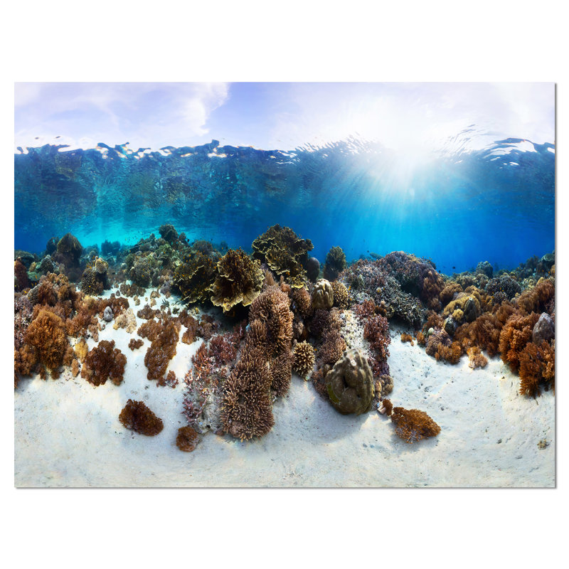 «Indonésie Underwater Panorama», reproduction de photo sur toile tendue, H 30 po x l 40 po
