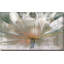 «Lily Light», reproduction-30118227-30897977
