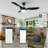 Gannicus 52'' Ceiling Fan with LED Lights