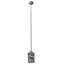 Rustic Lodge 1 - Light Pendant