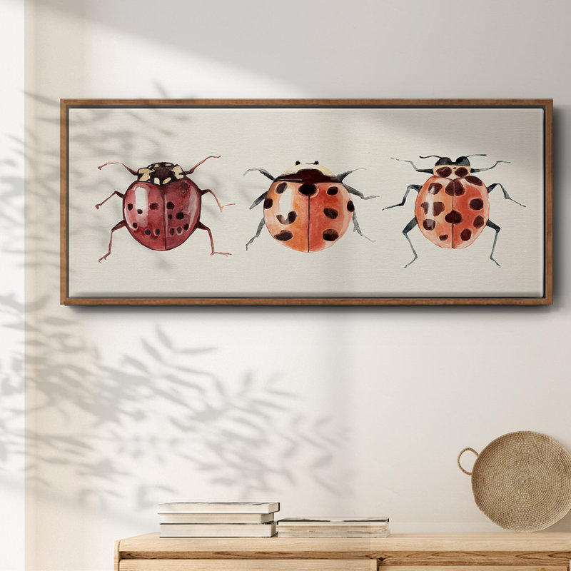 Coccinelle, H 12 po x l 30 po