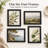 9" Black Picture Frame Set of 4, Fits 6" × 8" Photos for Wall or Tabletop Display