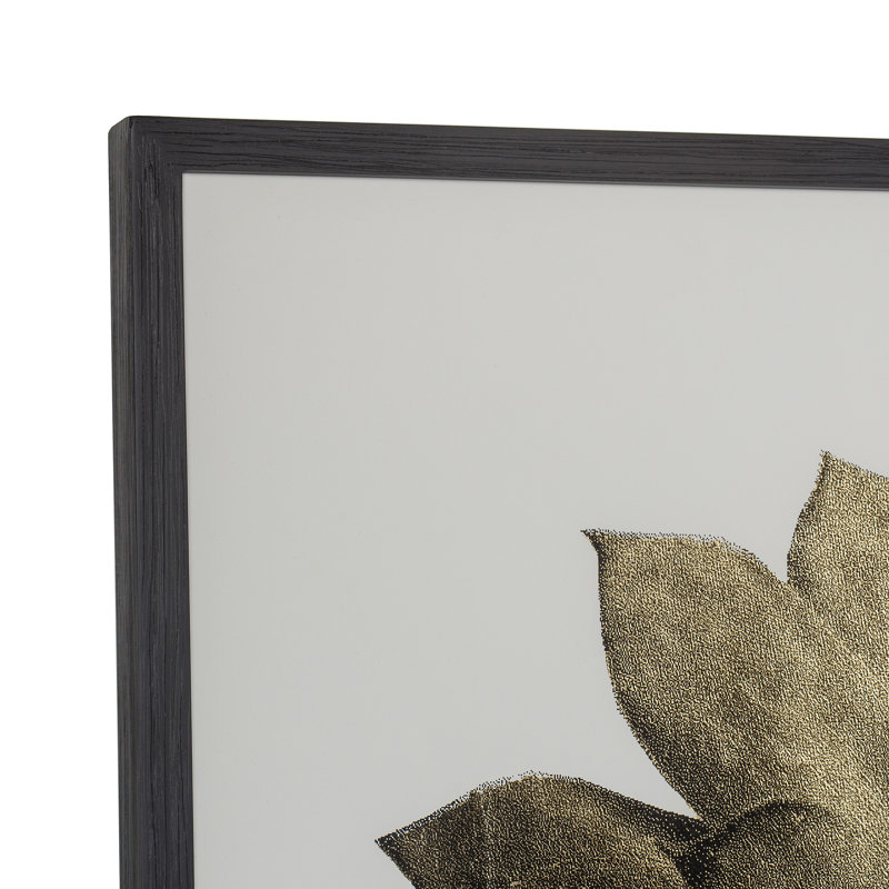 Gold Succulent C Print