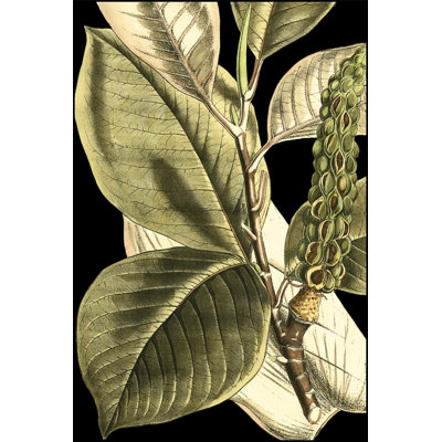 Tranquil Tropical Leaves II by Vision Studio - Wrapped Canvas Print