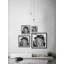 «Mighty Lion» par Marmont Hill - reproduction de cadre photo-1530594093