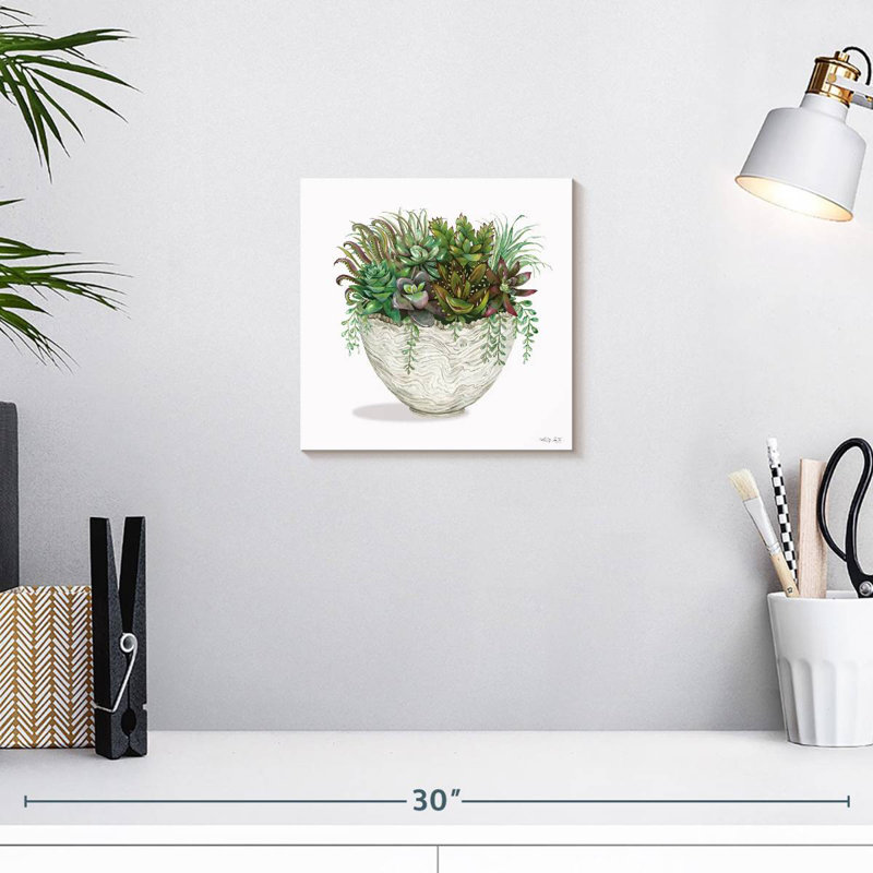 Plante grasse blanche Harnek II, H 10 po x l 10 po