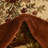 Debora Oriental Area Rug-1854781382-1746783480