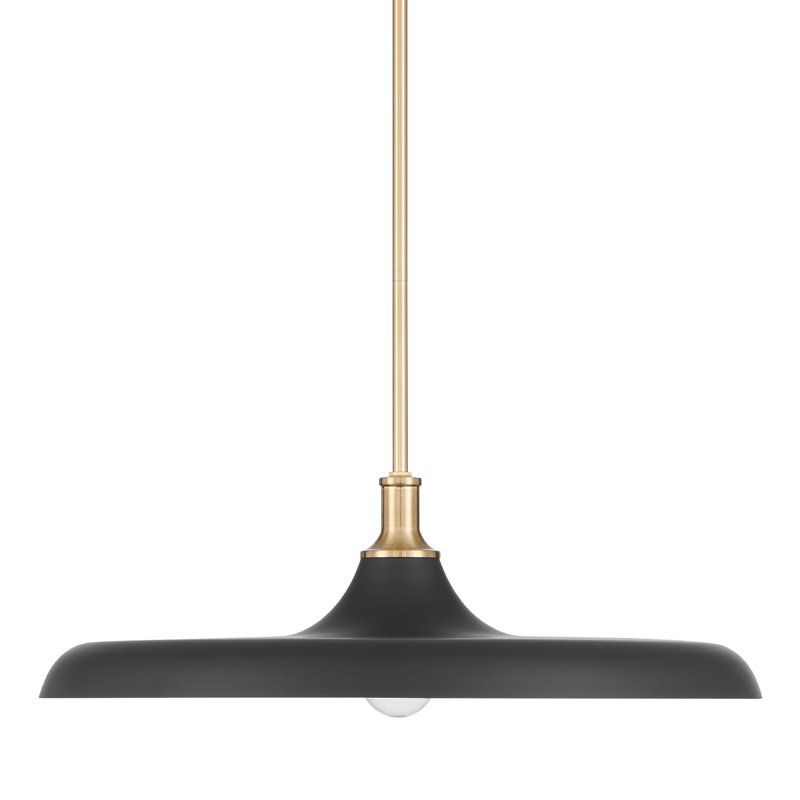 Hunter Moriso 1 Light Large Pendant Ceiling Light Fixture