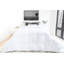 Carmel All Season 725 Loft Hutterite Goose Down Comforter-641244472