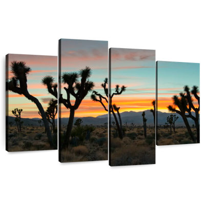 Harpa Joshua Tree National Park Sunset