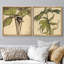 Ensemble de 2 reproductions d'art sur toile rétro encadrées de plantes botaniques-123400191-123400188