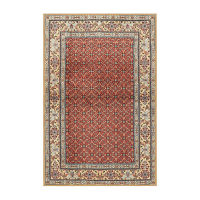 Oriental Indoor Rug