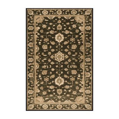 Machine Washable Overdyed Brown Area Rug