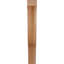 Attelle de genou Funston-1812888344-1812888343-1812888359