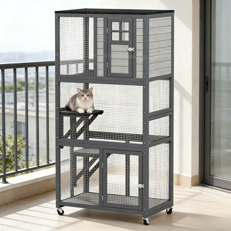 Tour pour chat portable et abri d'extérieur