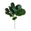 Branche de violon
