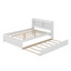 Lit plateforme avec lit gigogne et tablettes de rangement-86914852-132565647