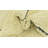 Orpheus Ivory Rug