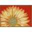 Tapis de cuisine Ismay-86868743-86868737