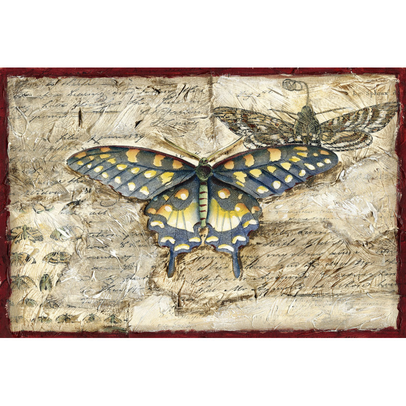 Poetic Butterfly II by Chariklia Zarris - Wrapped Canvas Art Prints, 30cm H x 46cm W