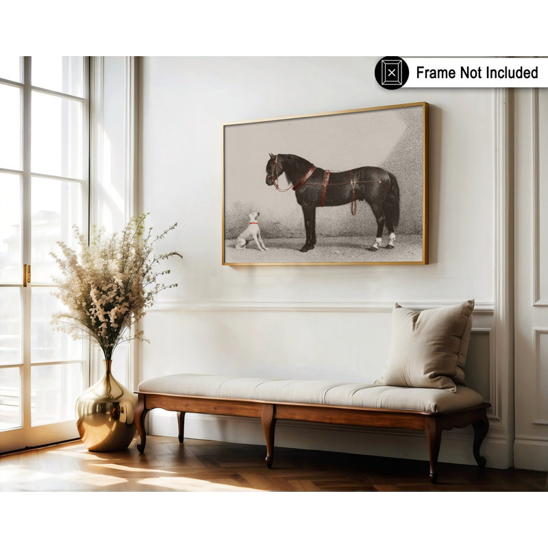Cheval et chien, Sans cadre, Affiche, H 12 po x l 16 po