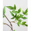 Faux Branch