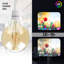 Vintage G125 4W E27 Edison LED Screw Bulb, Retro Style Music Design Filament Glass Antique Warm White Indoor Lamp and Decorative Lighting Bulb pack of 6