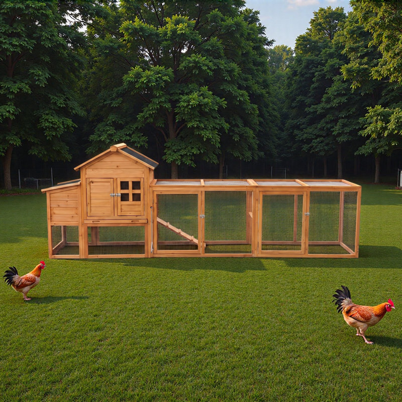 Durable Eco-Friendly chicken coop