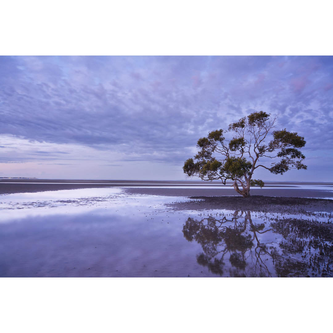 Lone Tree, Australien by Quirex - Leinwandbild