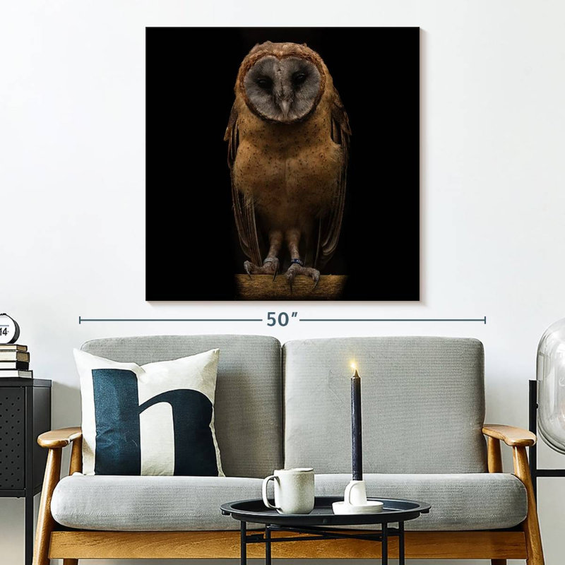 Brampt Ashy Faced Owl, 33" H x 33" W
