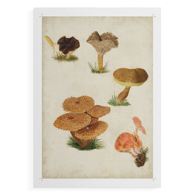 Champignon V - reproduction de toile seulement - non encadrée, H 18 po x l 12 po
