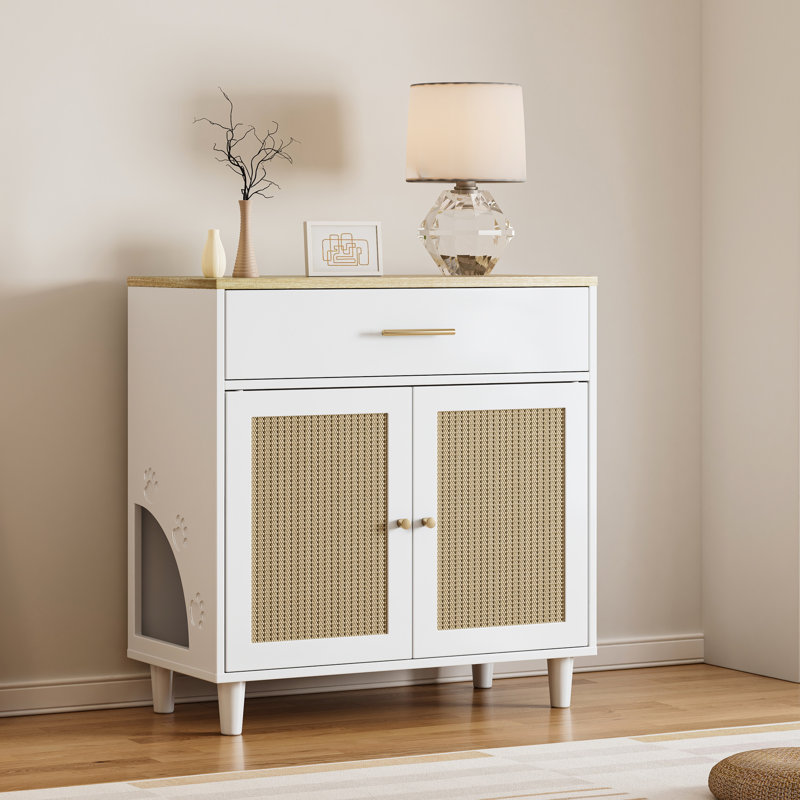 Armoire de rangement pour chat avec bac à litière
