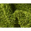 Tapis Sybil-61860094