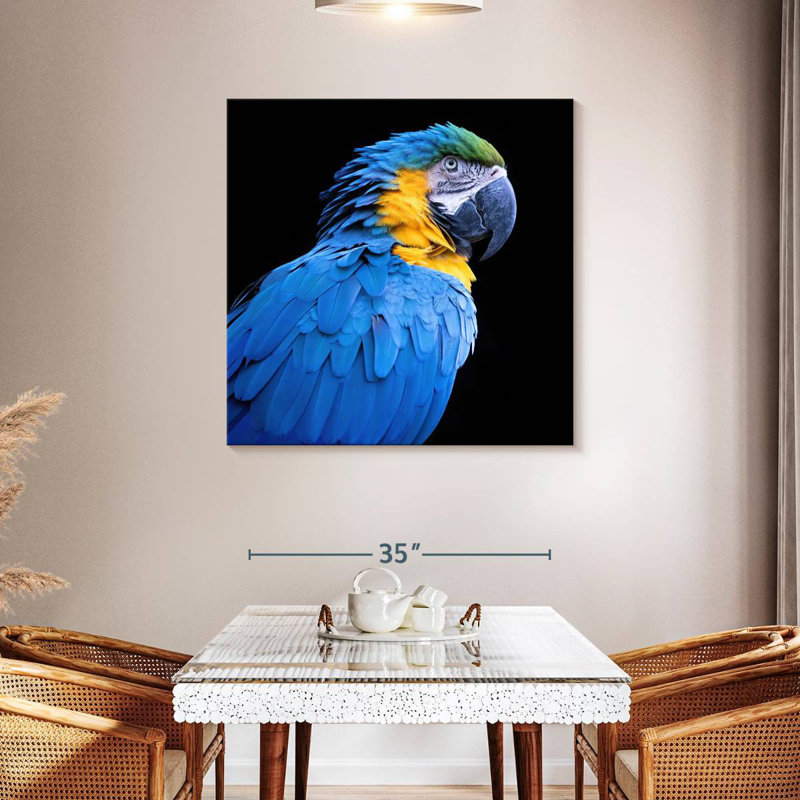 Brampt Neotropical Blue Macaw, 39" H x 39" W