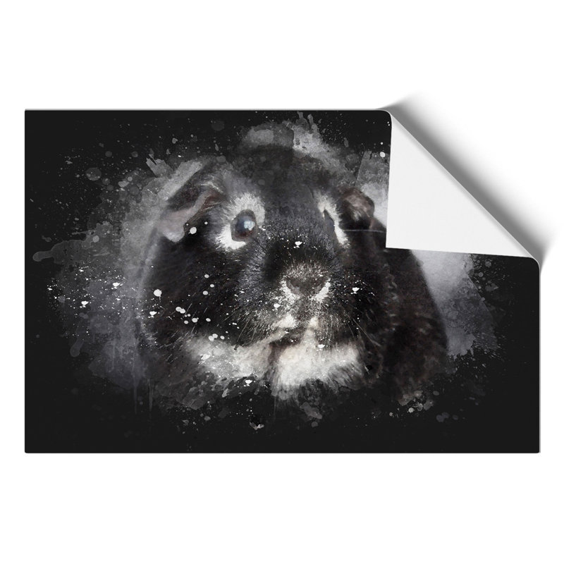 Guinea Pig Paint Splash - Frameless Print, 59cm H x 84cm W x 0.1cm D