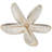 Preserved Bullet Flower Arrangement