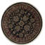 Wool Oriental Area Rug