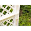 140cm H x 100cm W Plastic Expanding Trellis