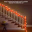 Guirlande de lumières érable