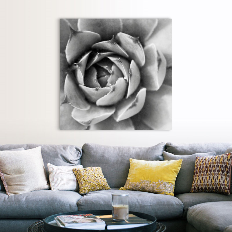 «Garden Succulent II», art mural sur toile, H 48 po x l 48 po x P 1,25 po, Toile tendue