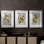 Quatre oiseaux chanteurs - feuille d'or - impression encadrée sur mesure de qualité supérieure - 3 pièces-292068776-292068771