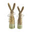 Ensemble de 2 lapins en bois en émail vert Bunny Hop