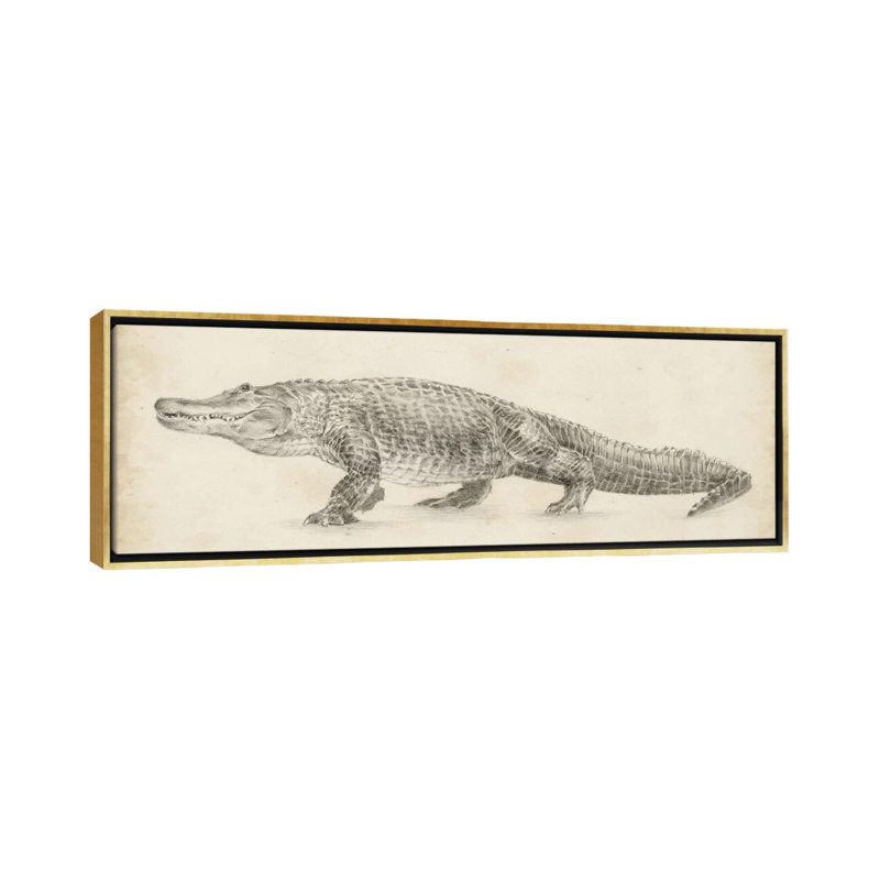 Reproduction d’art sur toile « alligator sketch » par Ethan Harper, Toile encadrée, H 16 po x l 48 po, Doré