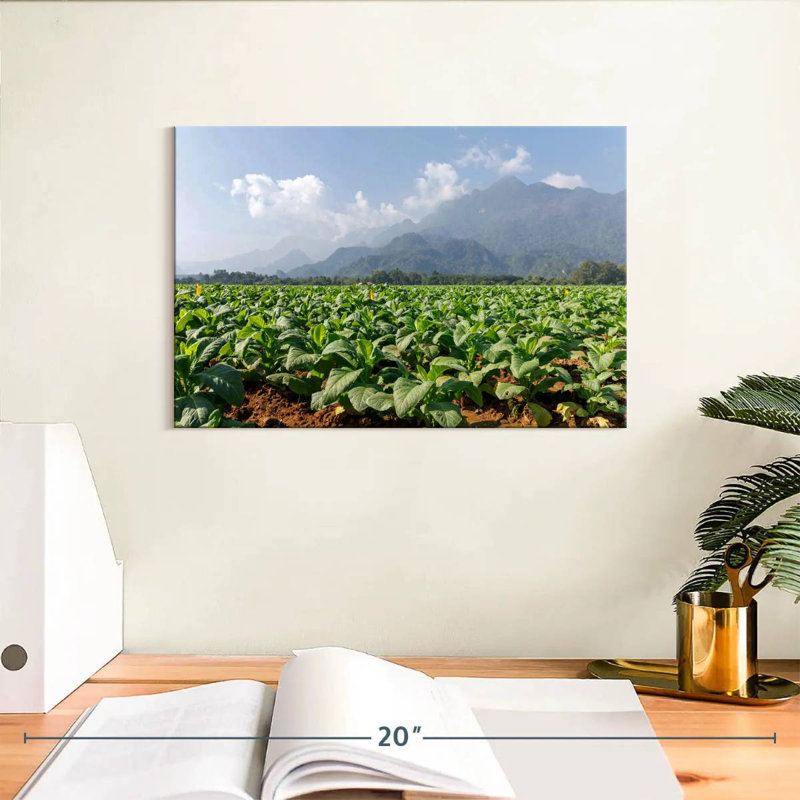 Alvord Tobacco Green Fields, 8" H x 12" W